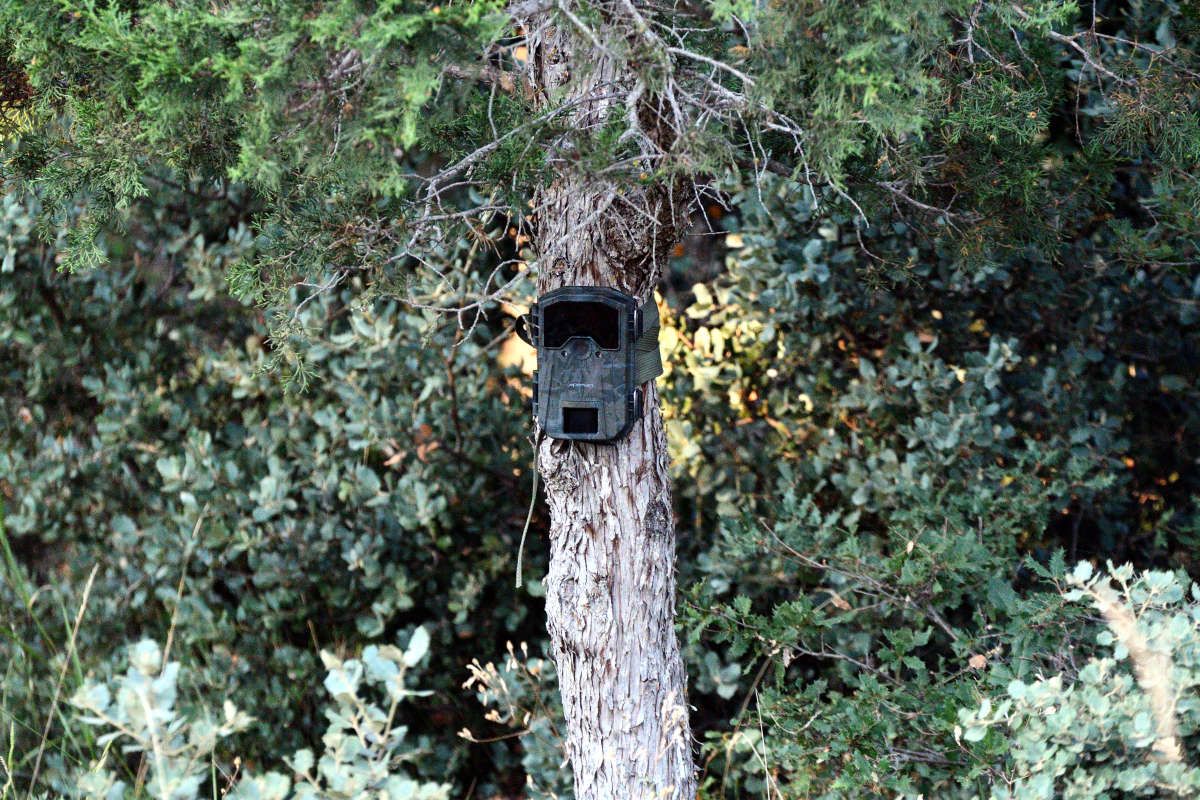 Apeman H55