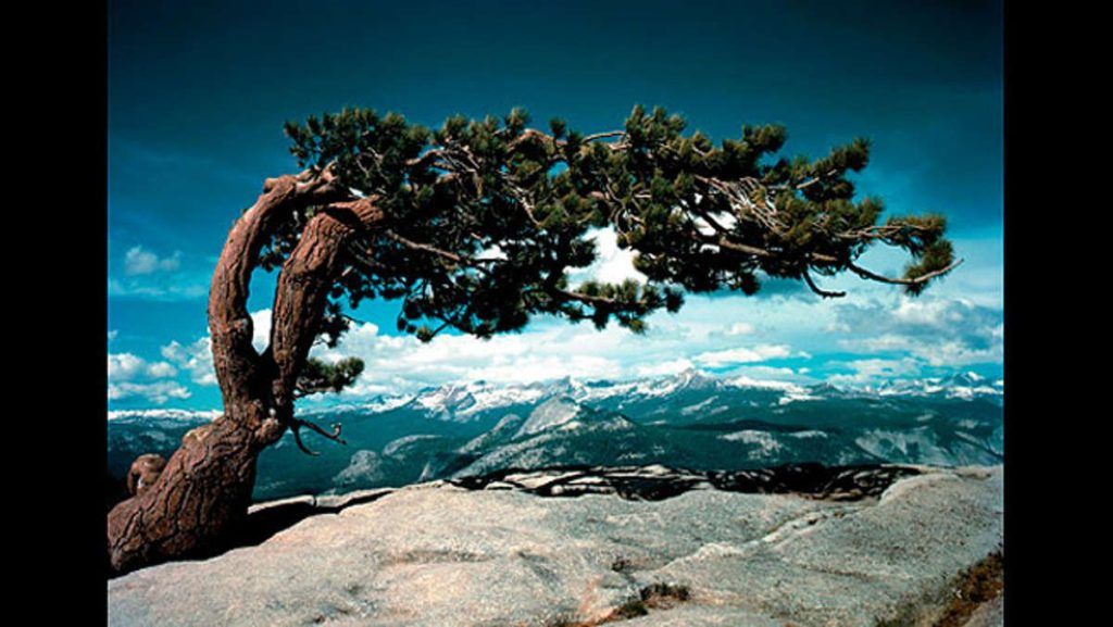 Ansel Adams en color