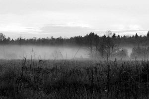 Fotografía de niebla