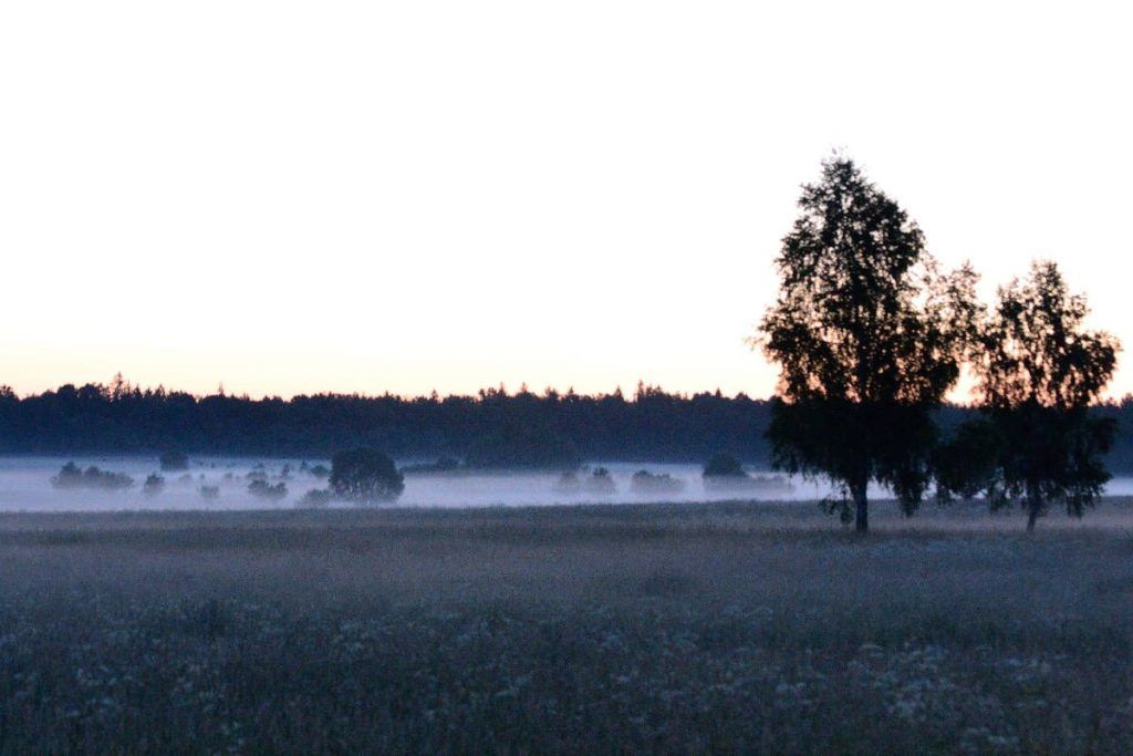Fotoreise nach Bialowieza