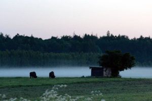 Fotoreise nach Bialowieza