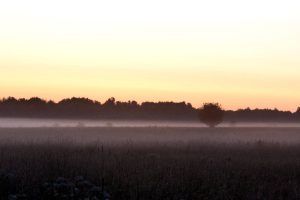 Fotoreise nach Bialowieza