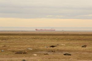 viajes fotograficos, Donna Nook
