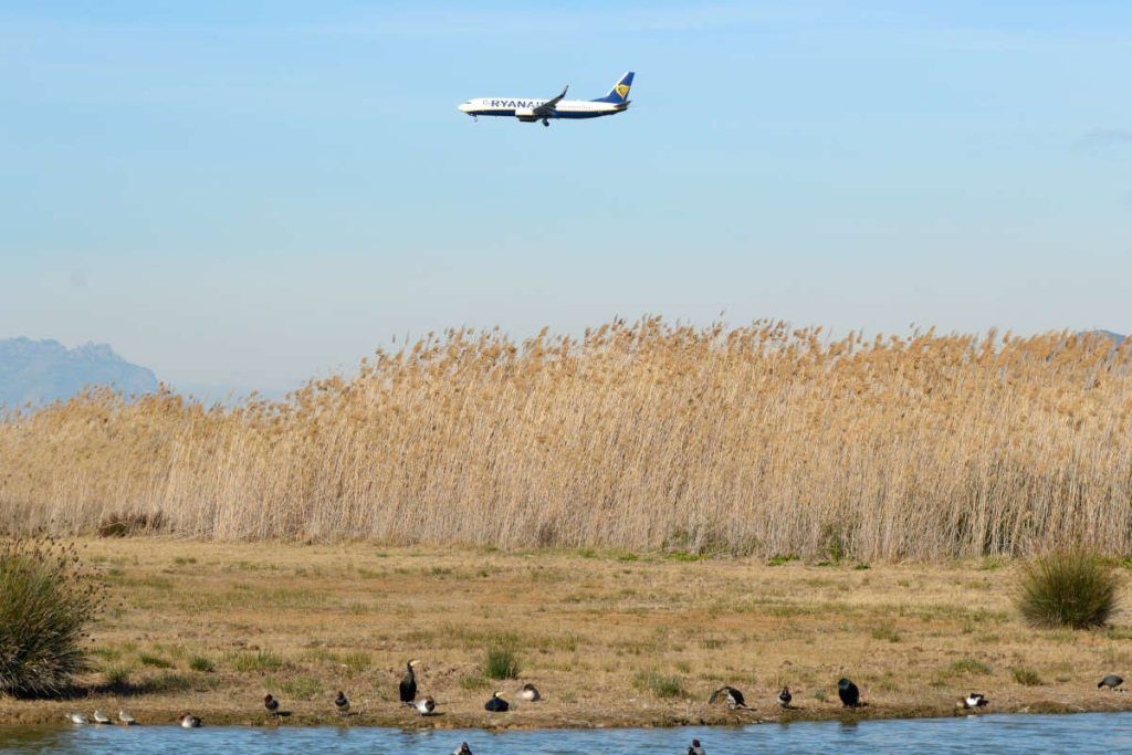 View of the Llobregat Delta. View from Cal Tet