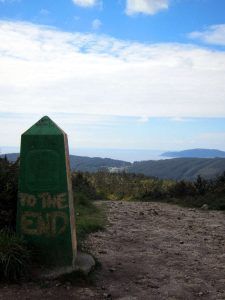 Paisajismo. Camino de Santiago