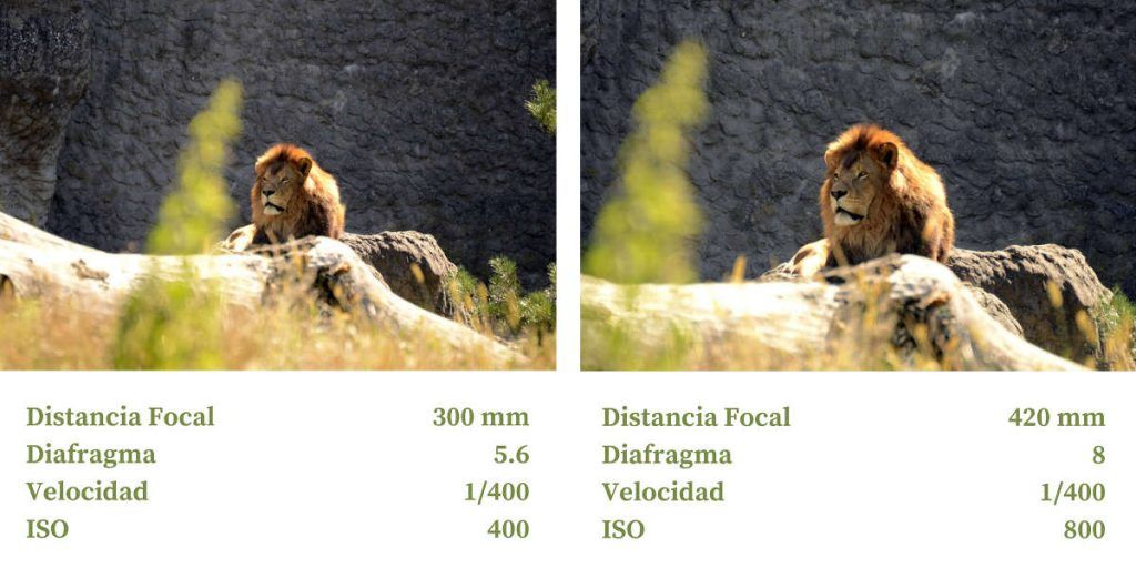 focal converter