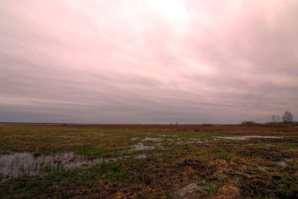 Biebrza