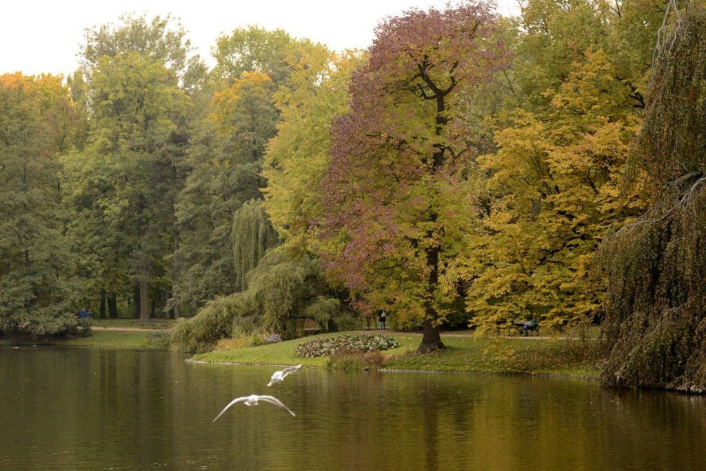 Otoño 3