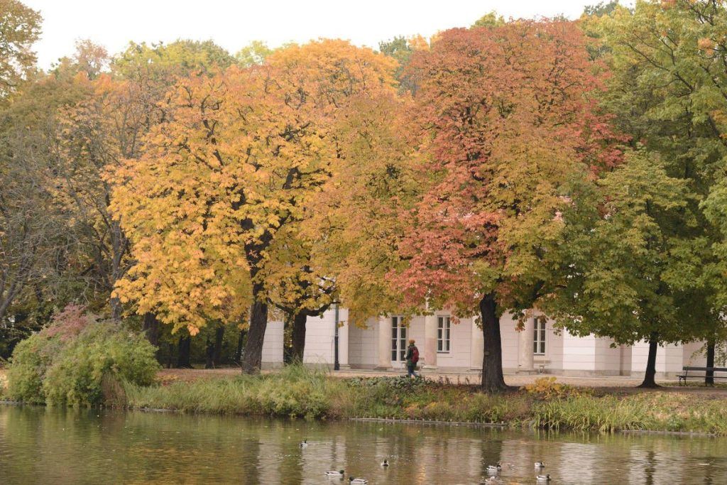 Otoño 5