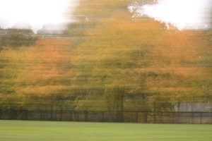 Otoño 6