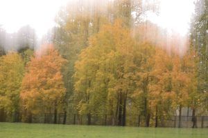Otoño 7