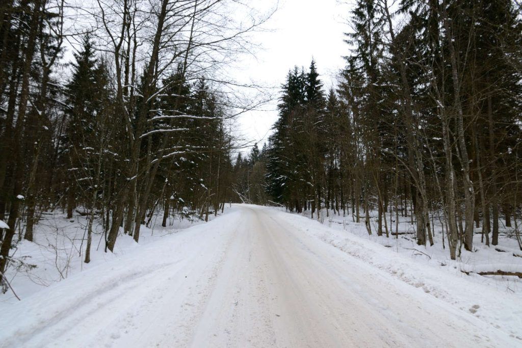 Verschneite Bialowieza-Autobahn