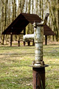 Nature photography with a telephoto lens