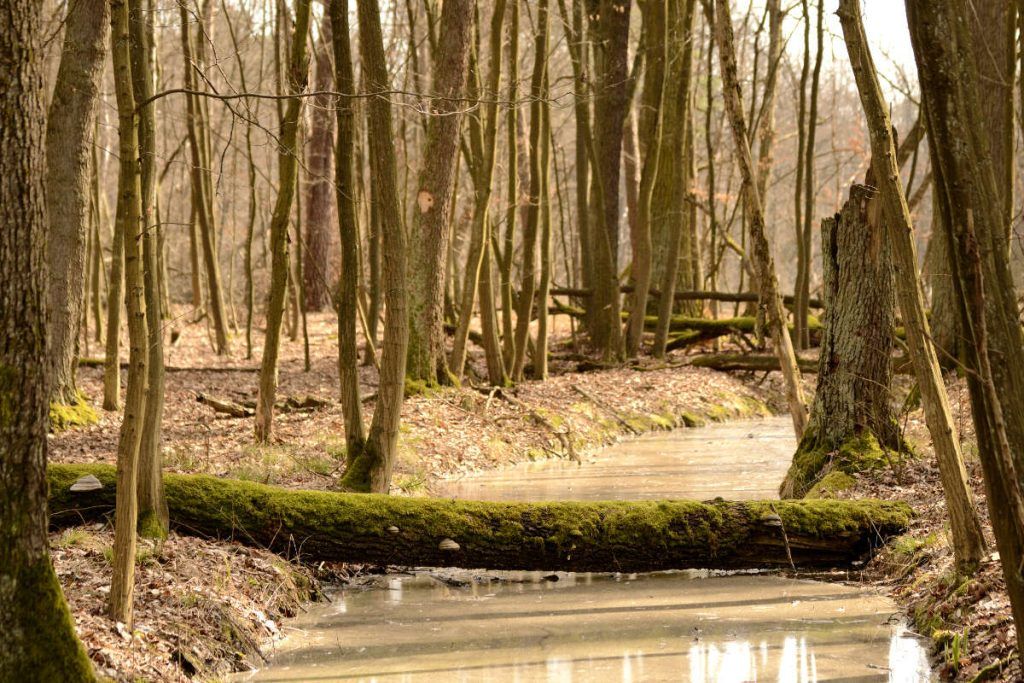 Learn photography
