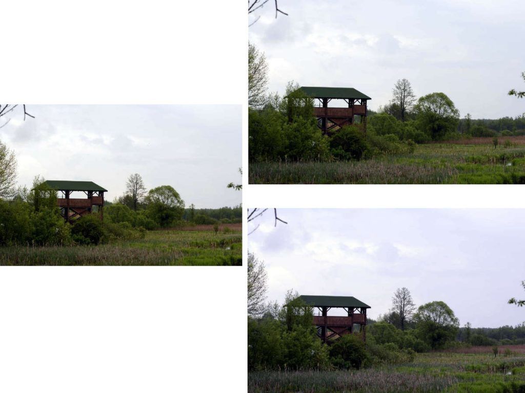 RAW White Balance