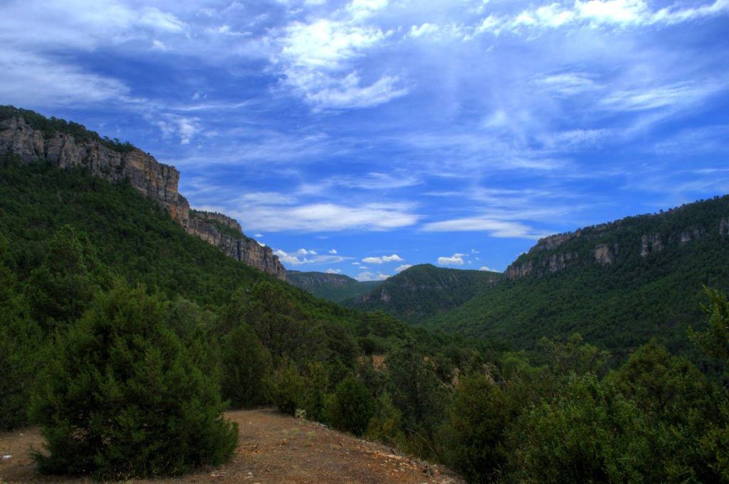 Siguiendo al Tajo