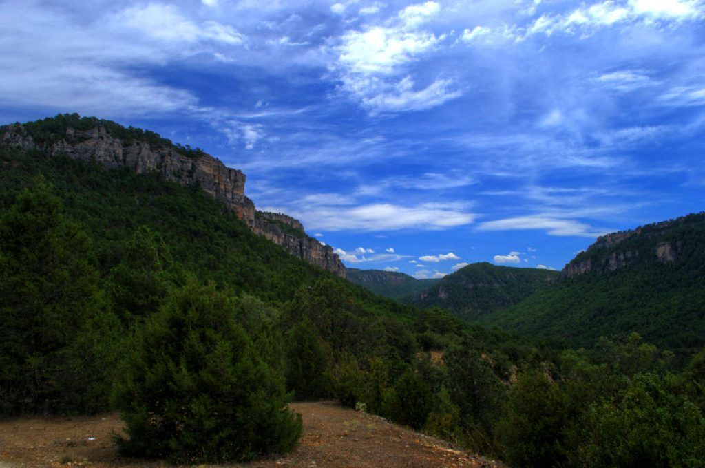Polarizing filter