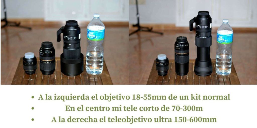 Sigma 150-600 mm