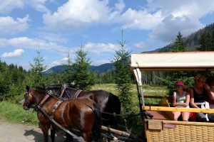 Voyage photo dans les Carpates polonaises