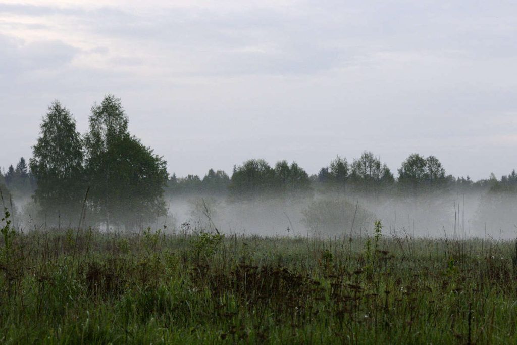 fotografía de niebla